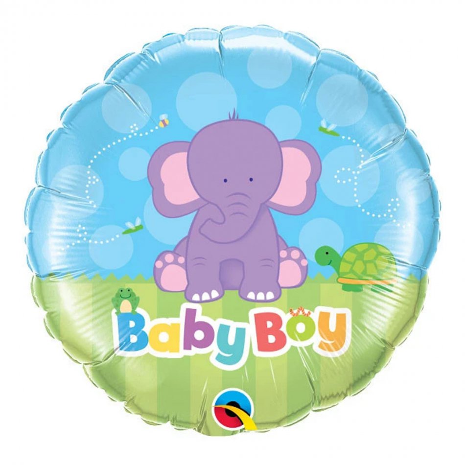 Baby Boy Elephant